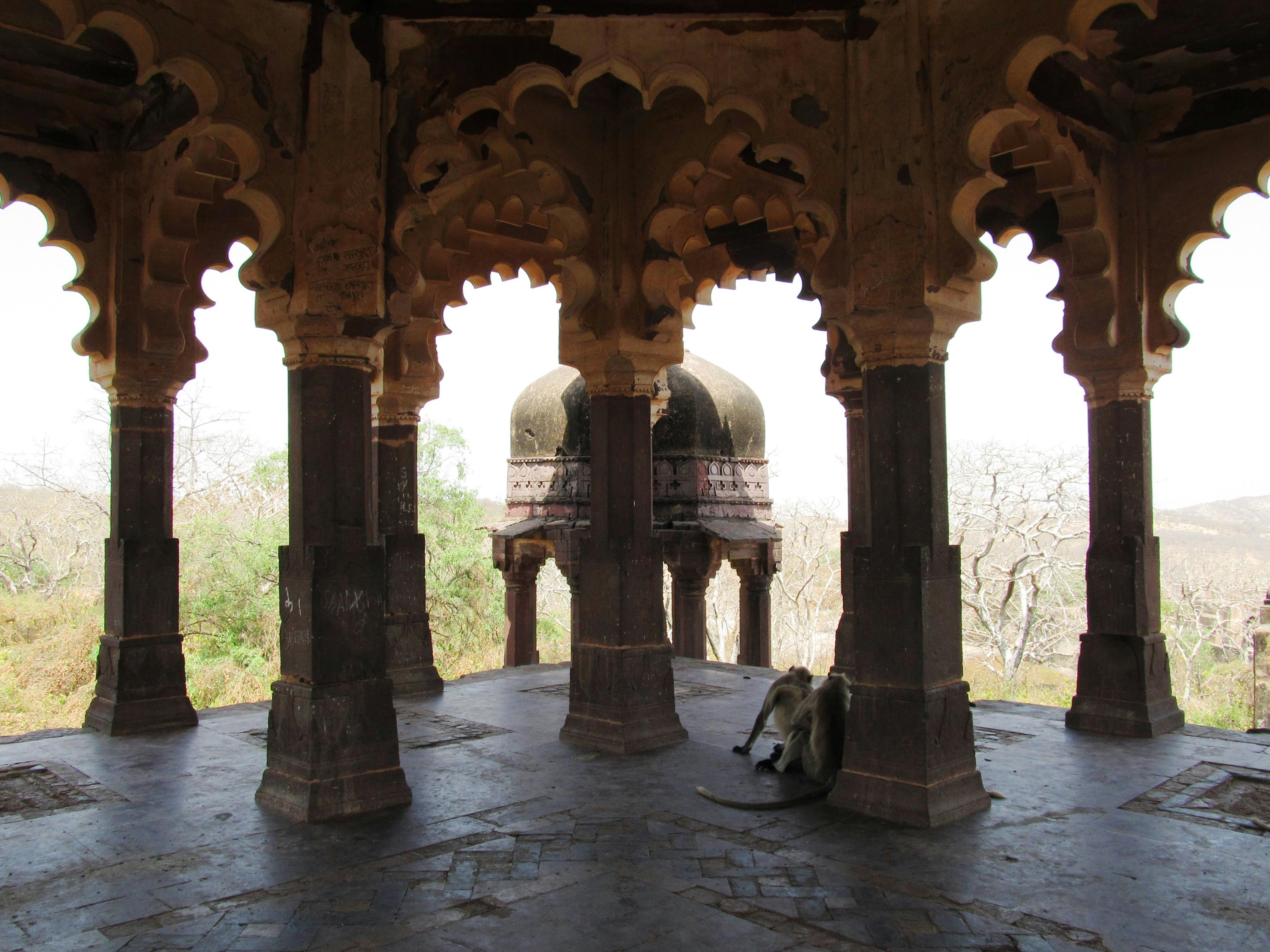 Explore the Historic Ranthambore Fort